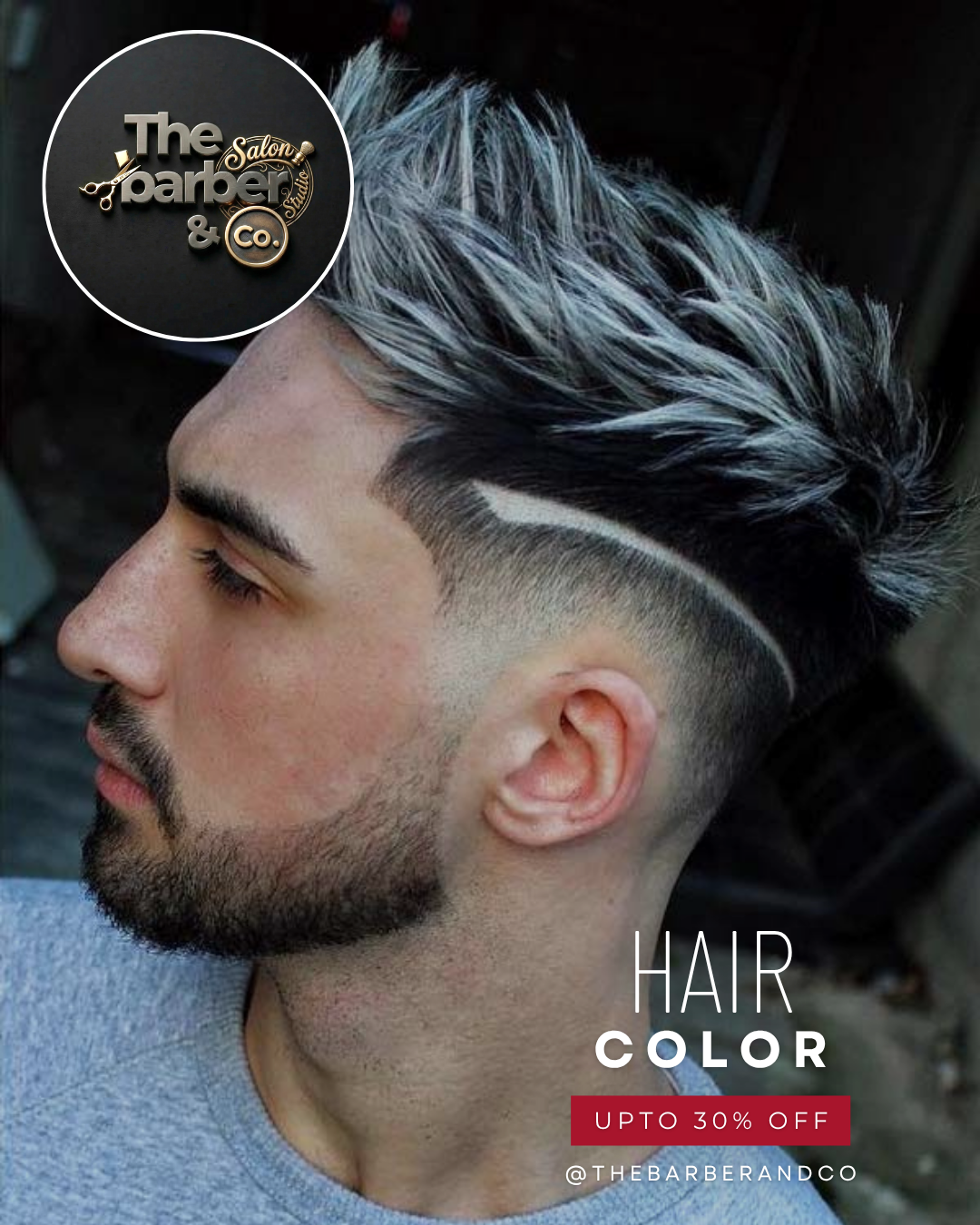 Men Hair / Beard Color